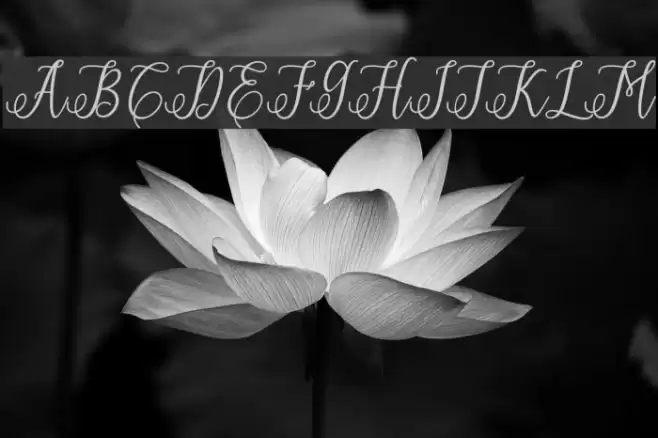 ErittaSlant-Bold Font examples