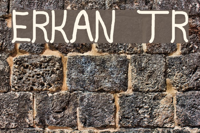 Erkan tr Fonte examples