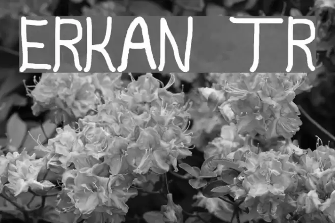 Erkan tr Fonte examples