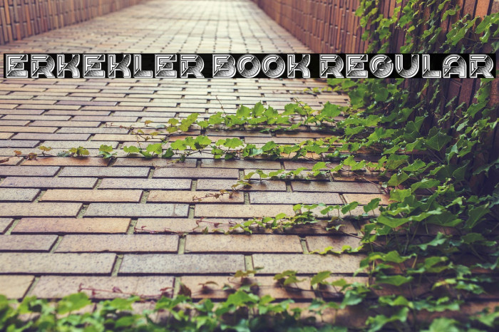 Erkekler Book Regular Example 1