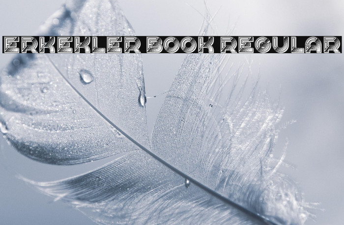 Erkekler Book Regular Example 2