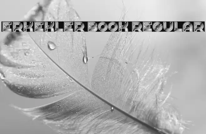 Erkekler Book Regular Font examples