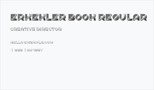 Erkekler Book Regular Business Card