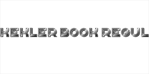 Erkekler Book Regular Logo