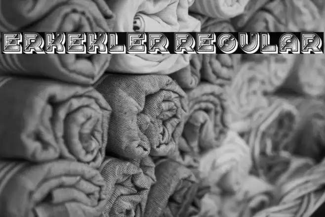 Erkekler Regular Font examples