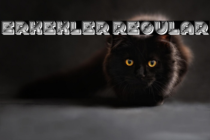 Erkekler Regular Example 3