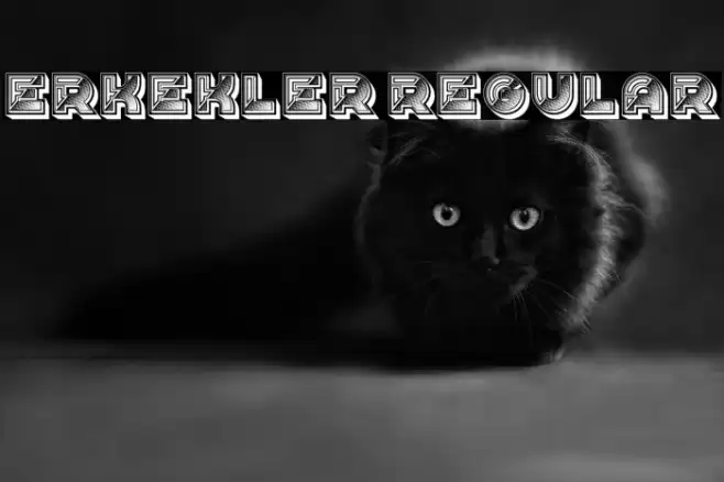 Erkekler Regular Font examples