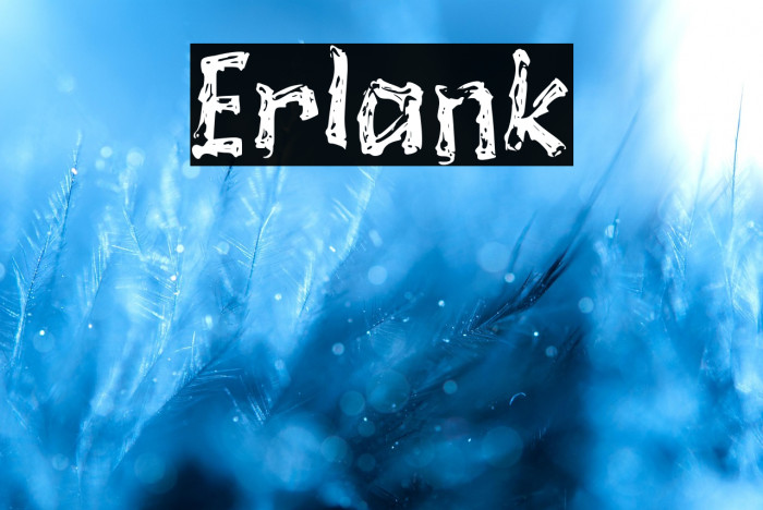 Erlank Example 1