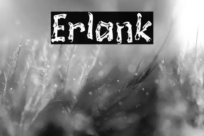 Erlank Example 1