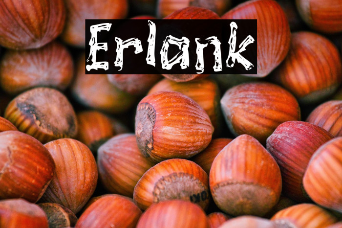 Erlank Example 2