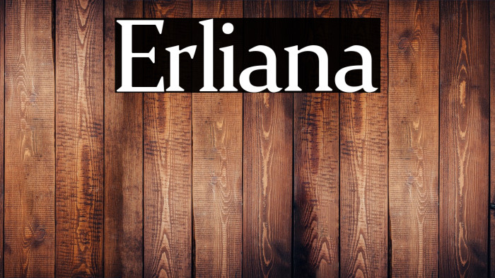 Erliana Example 1