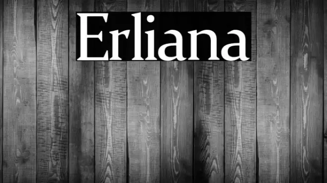 Erliana Font examples