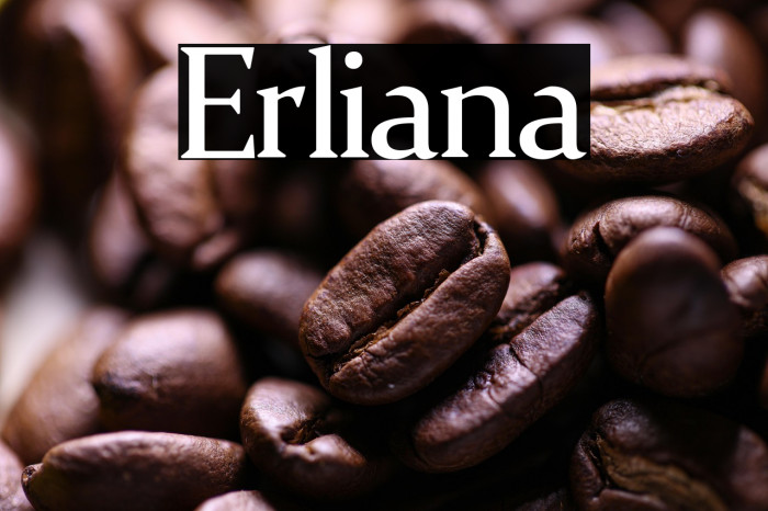 Erliana Example 2