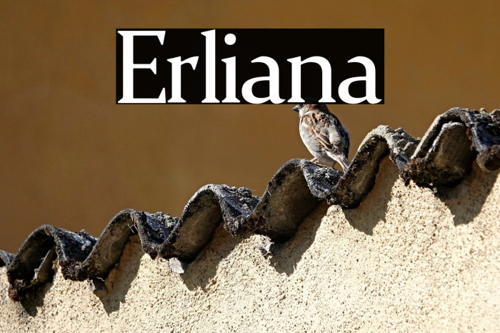 Erliana Example 3