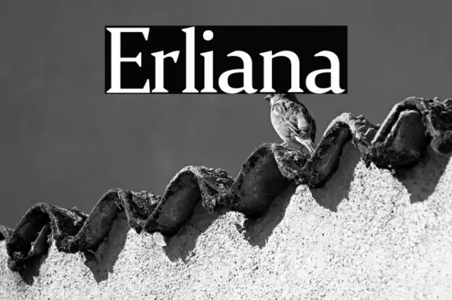 Erliana Font examples