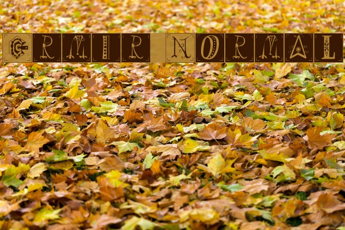 Ermir Normal Fonte examples
