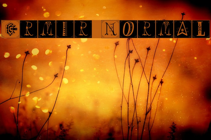 Ermir Normal Fonte examples