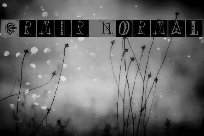 Ermir Normal Font examples