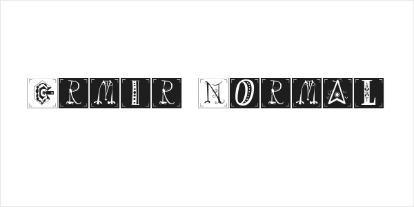 Ermir Normal Logo