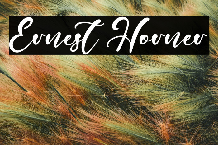 Ernest Horner Example 1