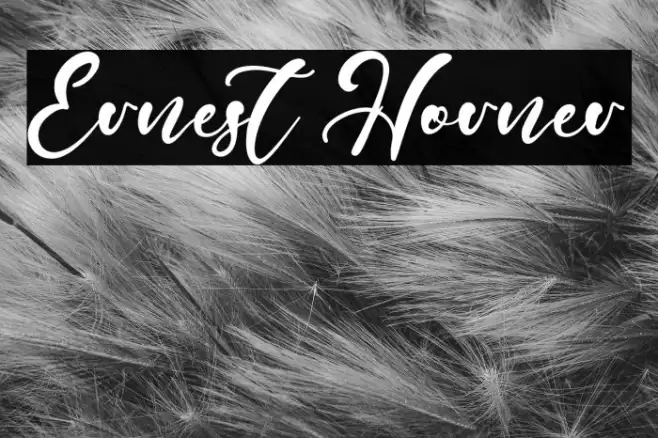 Ernest Horner Example 1