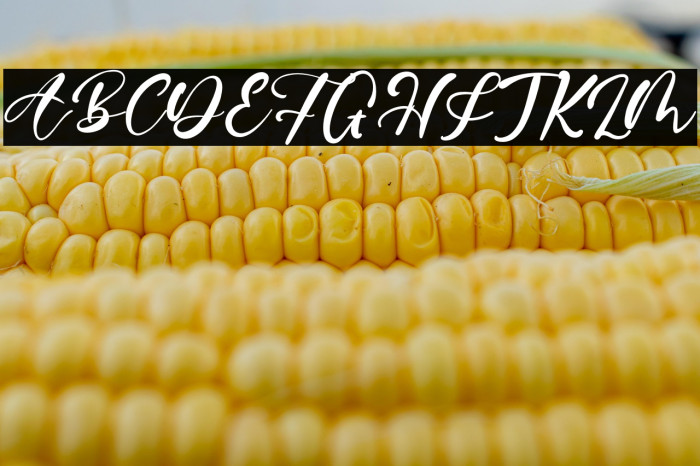 ErnestHorner Example 2