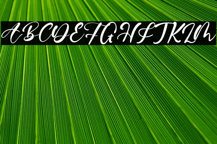 ErnestHorner Example 3