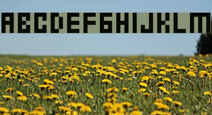 Ernest Font examples