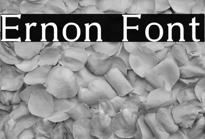 Ernon Font examples