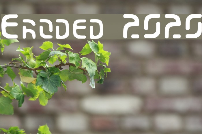 Eroded 2020 Font examples