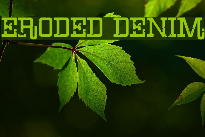 Eroded Denim Example 1
