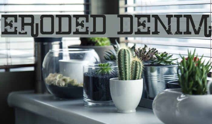 Eroded Denim Example 3