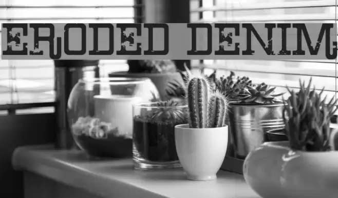 Eroded Denim Font examples