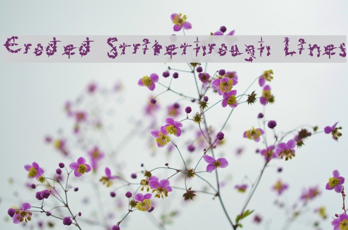 Eroded Strikethrough Lines Font examples