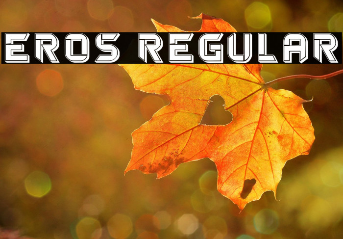 Eros Regular Example 2
