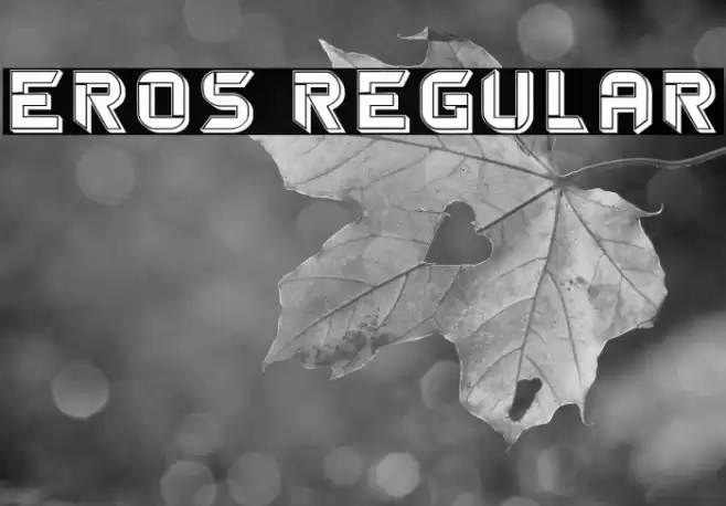 Eros Regular Font examples