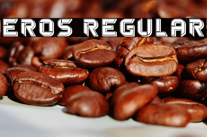 Eros Regular Example 3