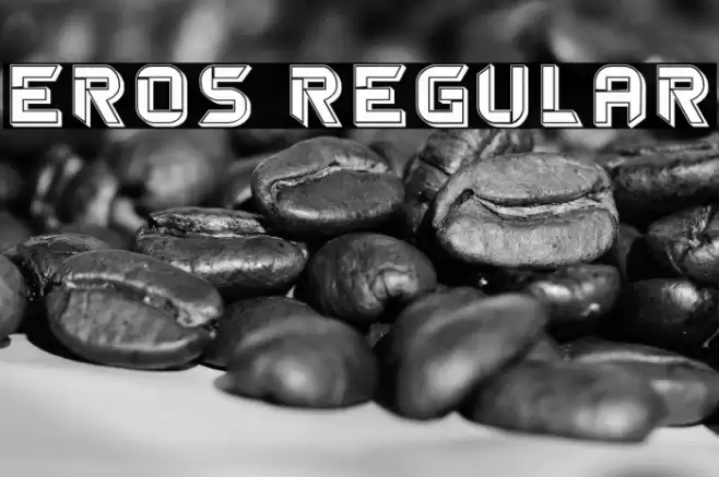 Eros Regular Font examples