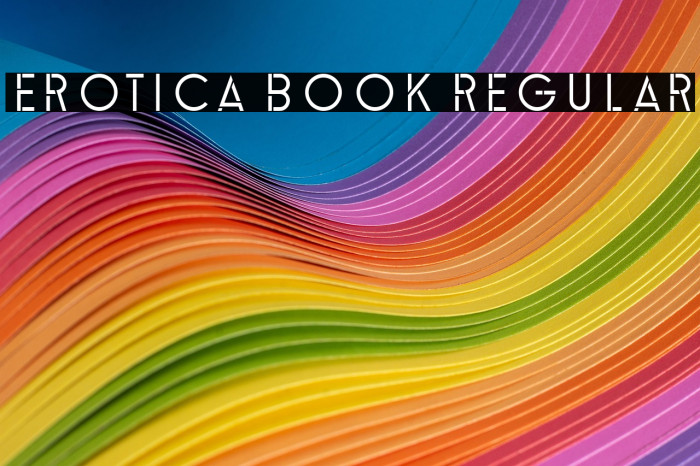 Erotica Book Regular Example 1