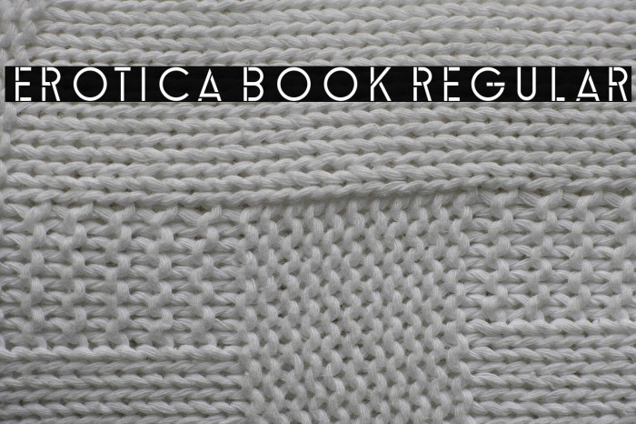 Erotica Book Regular Example 3