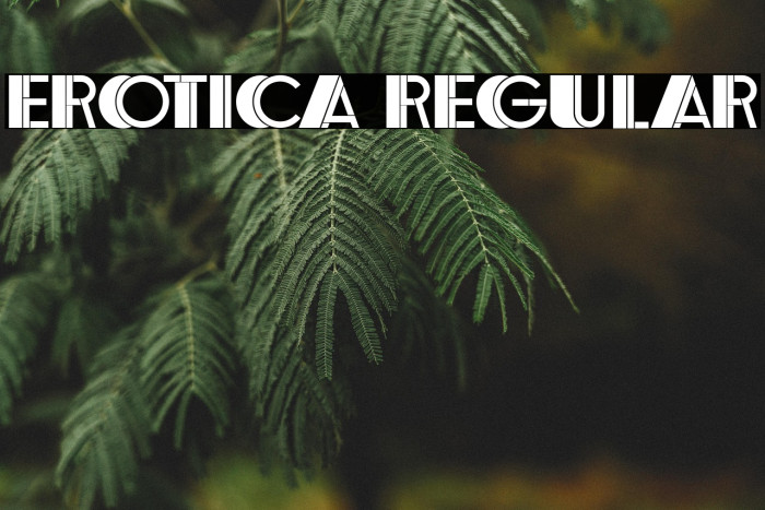 Erotica Regular Example 2