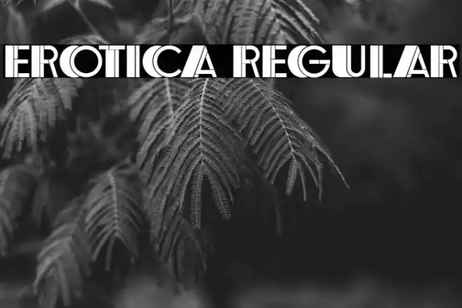 Erotica Regular Example 2