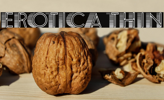 Erotica Thin Example 3