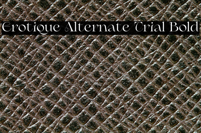 Erotique Alternate Trial Bold Example 2