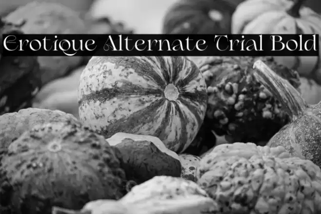 Erotique Alternate Trial Bold Font examples