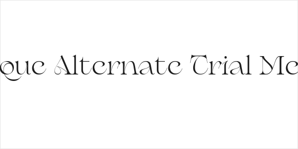 Erotique Alternate Trial Medium Logo