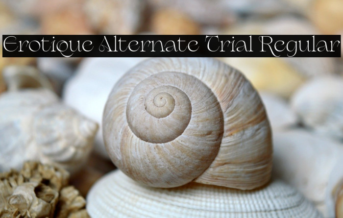 Erotique Alternate Trial Regular Example 1