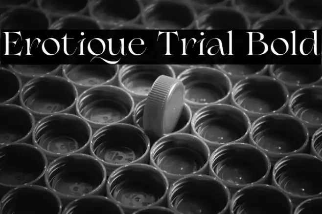 Erotique Trial Bold Font examples