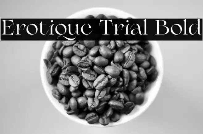 Erotique Trial Bold Font examples