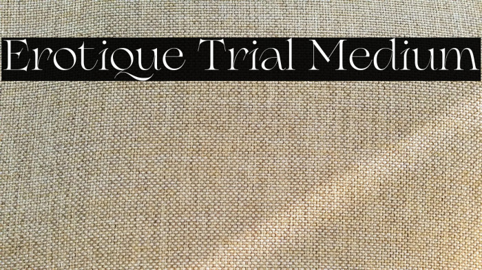Erotique Trial Medium Example 3